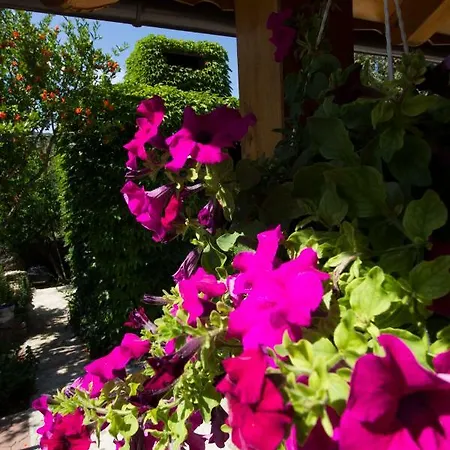 Apartmani Vesna Grebastica Exterior photo