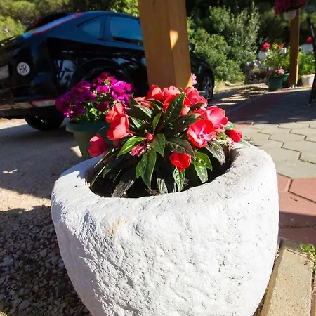 Apartmani Vesna Grebastica Exterior photo