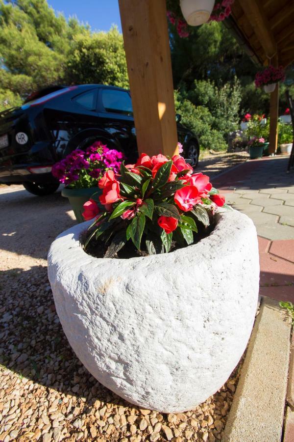 Apartment Vesna